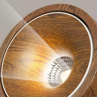 Walnut surface spotlight switched on, close-up of the faceted lens