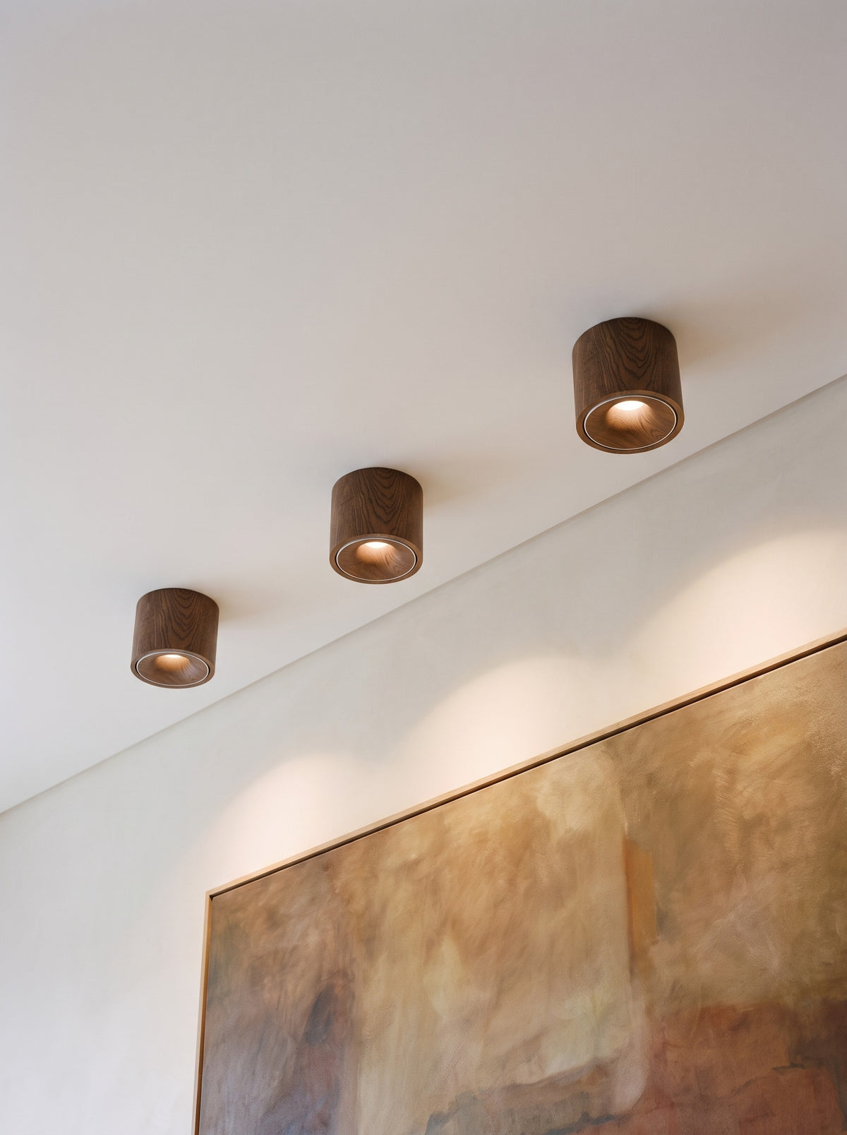 Three walnut surface spotlights in a row above a painting in a daylit living room