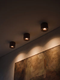 Three walnut surface spotlights lighting a painting in a dark living room at night